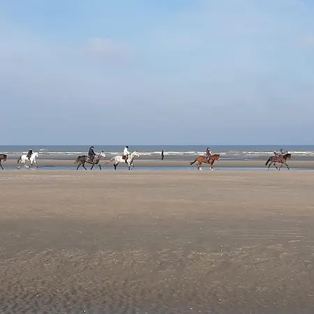 Daire 300 M Zee 2 Slaapkamers